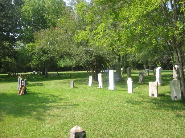 Row of Greenweed graves